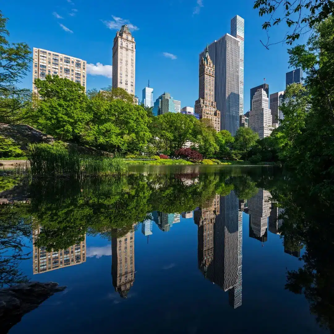 Why Choose Laura for EMDR Therapy in NYC?