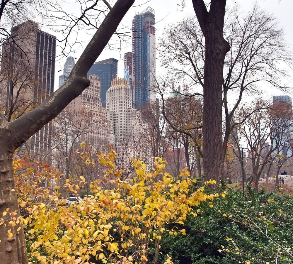 What Are Attachment Wounds?