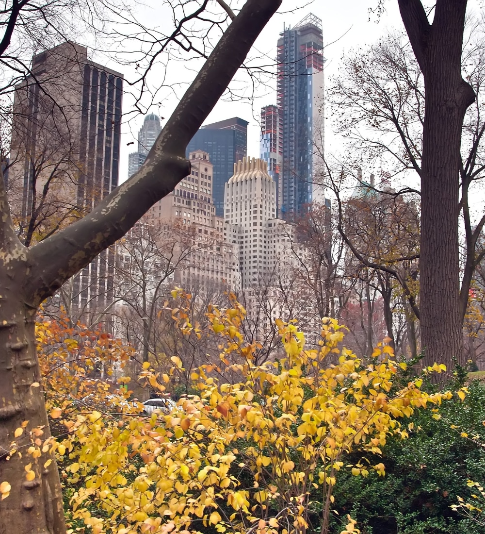 Therapy in the Upper East Side or Statewide in New York