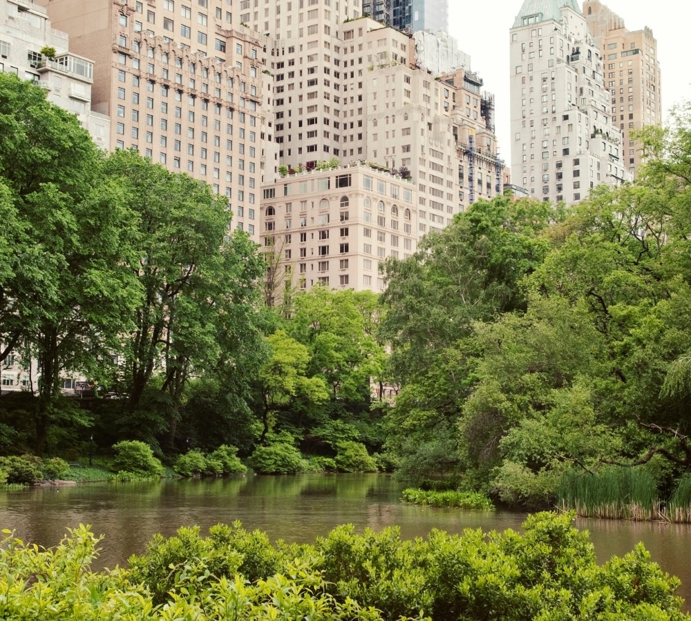 Living with CPTSD and Neurodivergence Can Feel Like an Emotional Maze