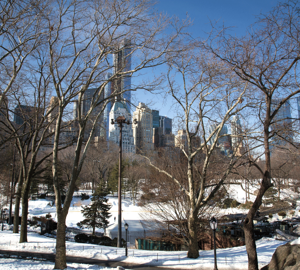 Why Work with Laura Pearl?