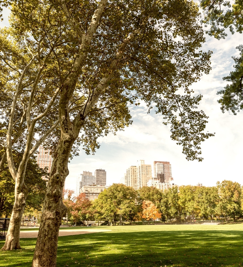 Recent Autism Diagnosis