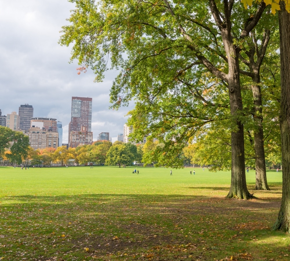 What Is? DID (Dissociative Identity Disorder)?